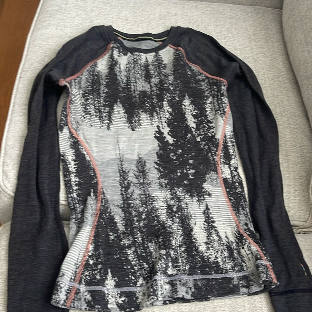 Smartwool Merino 250